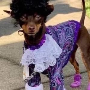 Meet your Posher, Beth